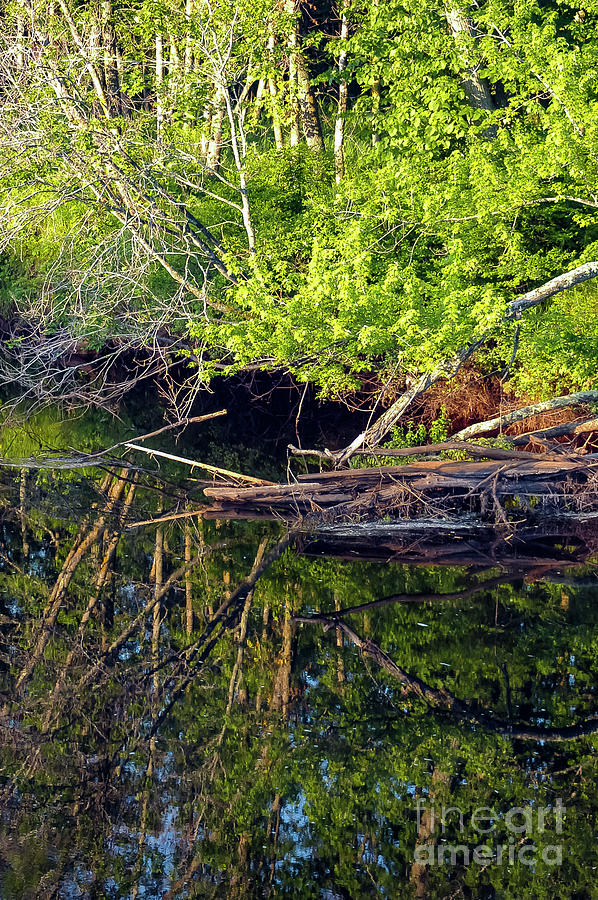 Kettle River Reflections Photograph by Bob Phillips