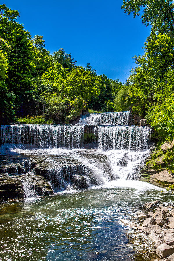 Tree Photograph - Keuka Outlet Waterfall by William Norton