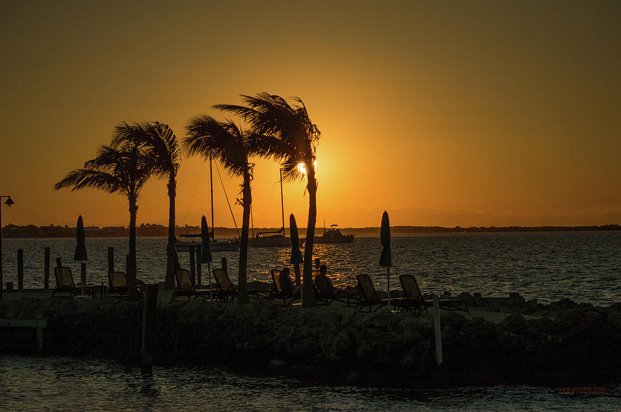 Key Largo Palm Trees Sunrise And Sailboat Photograph by Ken Figurski