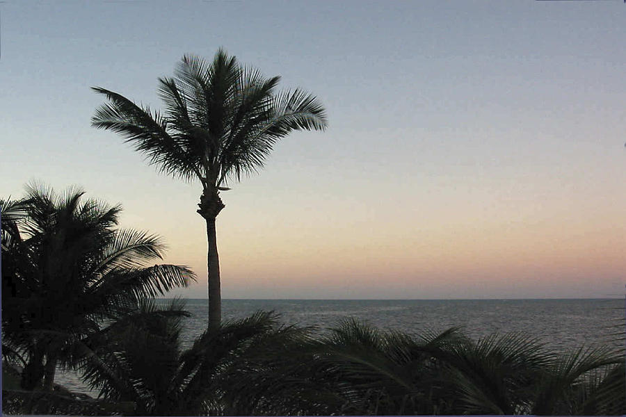 Key Largo Sunrise 2 Photograph by Lin Grosvenor