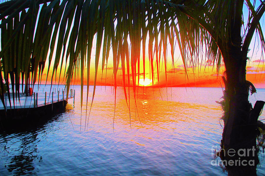 Key Largo Sunset Photograph by Jerome Stumphauzer