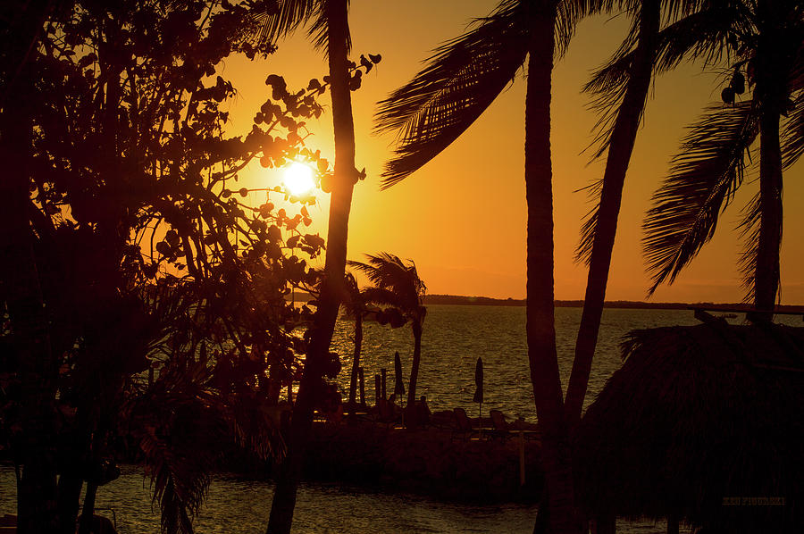 Key Largo Sunset Through Palm Trees Photograph by Ken Figurski