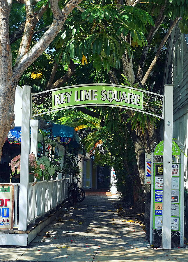 Key Lime Square Photograph by Laurie Perry