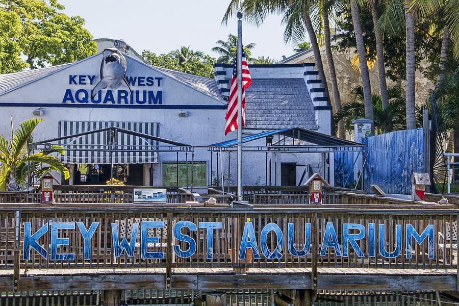 Key West Aquarium Photograph by Bob Slitzan