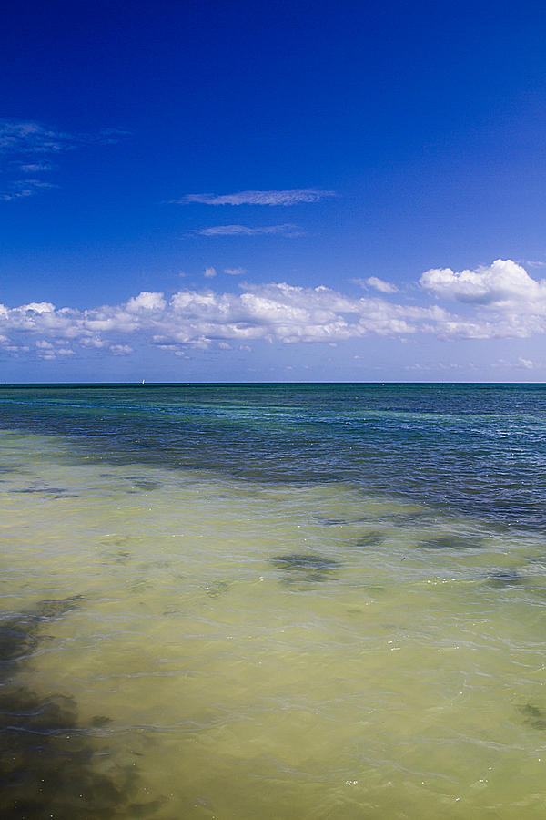 Key West Blue Skies Photograph by Bob Slitzan