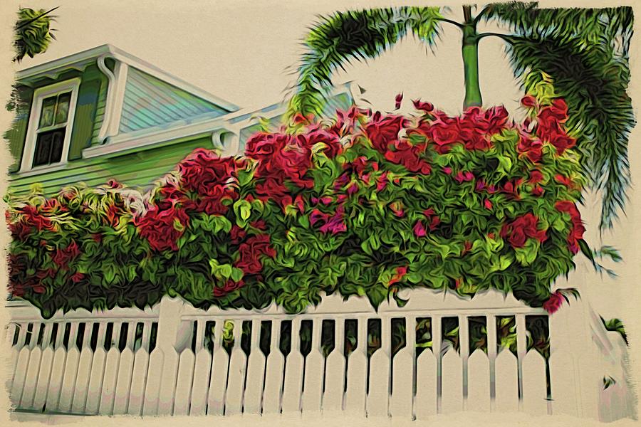 Key West Bouganvilla Photograph by Alice Gipson