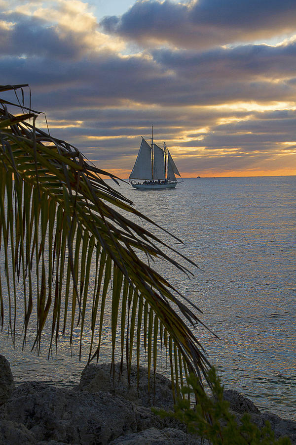 Key West Cloudy Sunset Sailing Photograph by Bob Slitzan