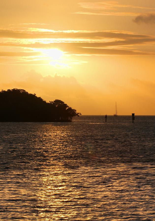 Key West Mangrove Sunrise Photograph by Bob Slitzan