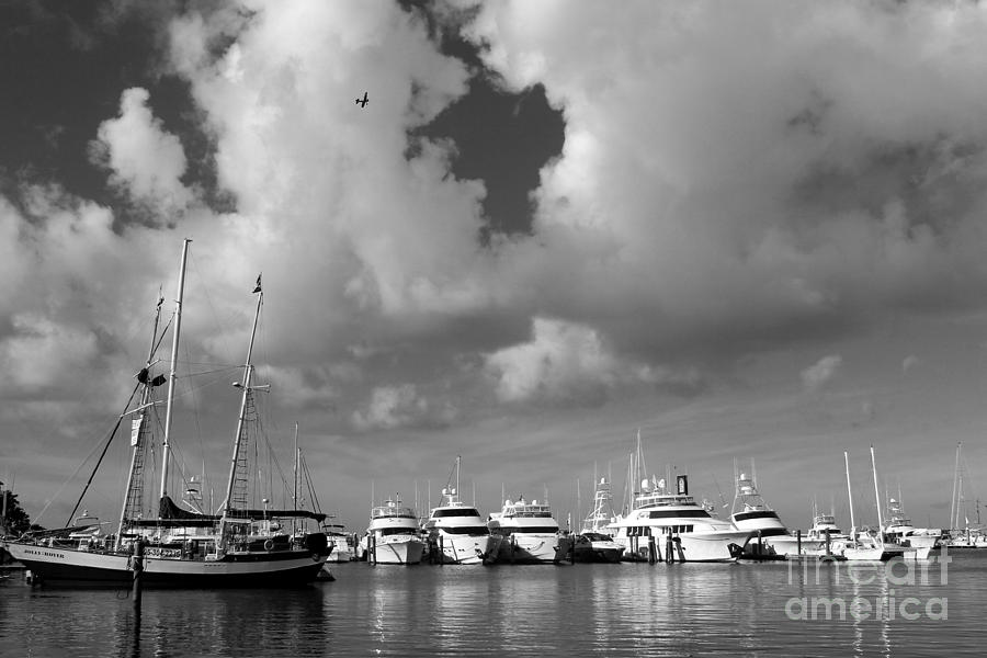 Key West Marina Photograph by Robert Wilder Jr