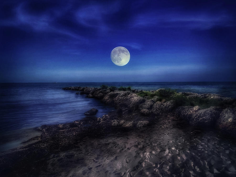 Key West Moonrise  Photograph by Brenda Wilcox aka Wildeyed n Wicked
