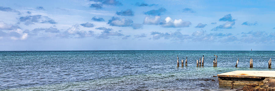 Key West Ocean View Panorama Photograph by Bob Slitzan