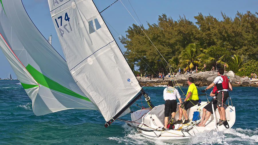 Key West on the Nose Photograph by Steven Lapkin