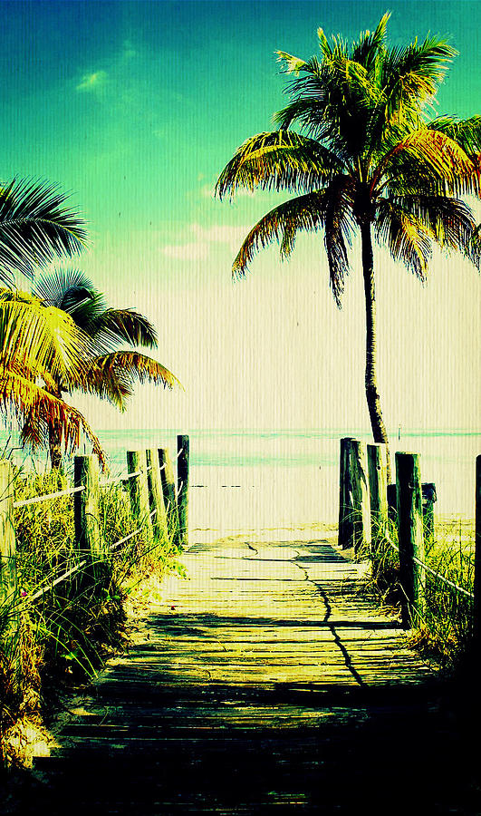 Key West Palms Photograph by Laurie Perry
