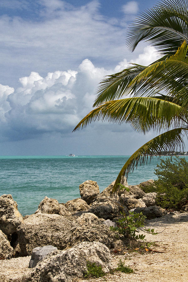 Key West Paradise 4 Photograph by Bob Slitzan