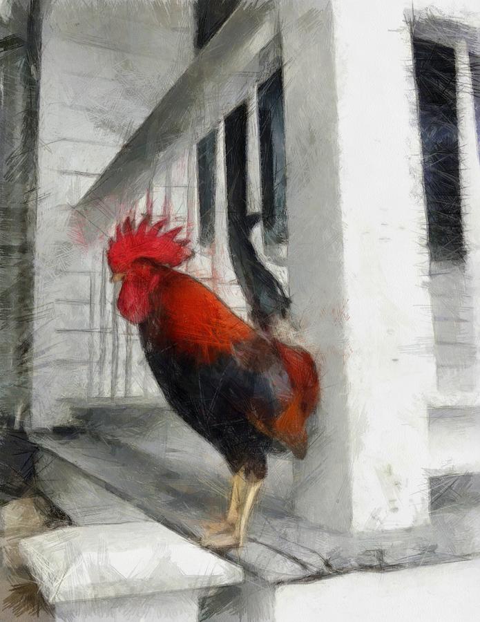 Key West Porch Rooster Photograph by Michelle Calkins