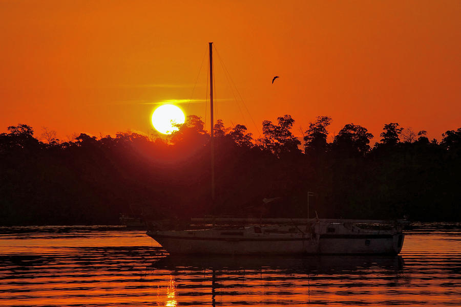 Key West Sailboat Silhouette Sunrise Photograph by Bob Slitzan