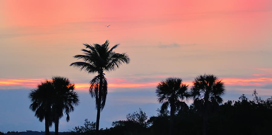 Key West Skies Photograph by Bill Cannon