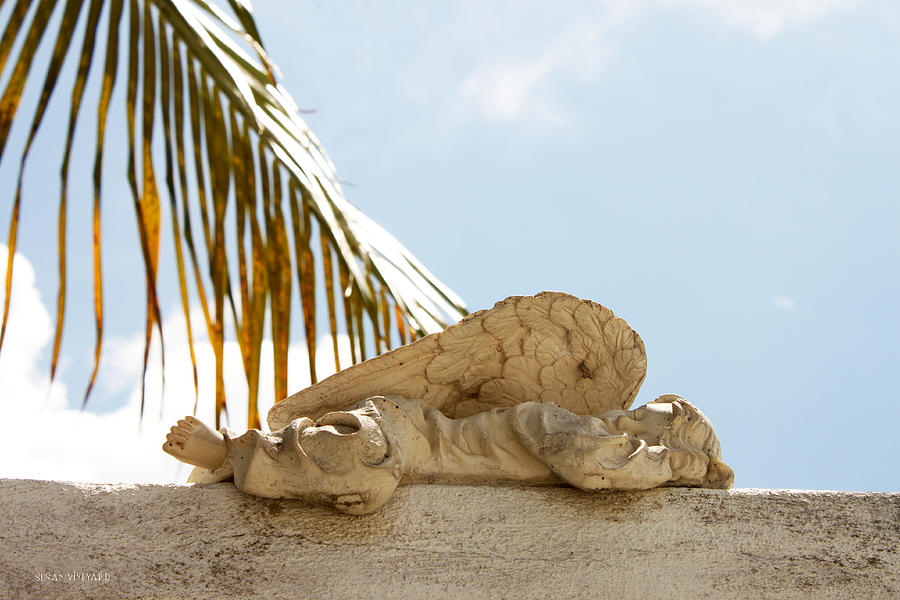 Key West Sleeping Angel Photograph by Susan Vineyard
