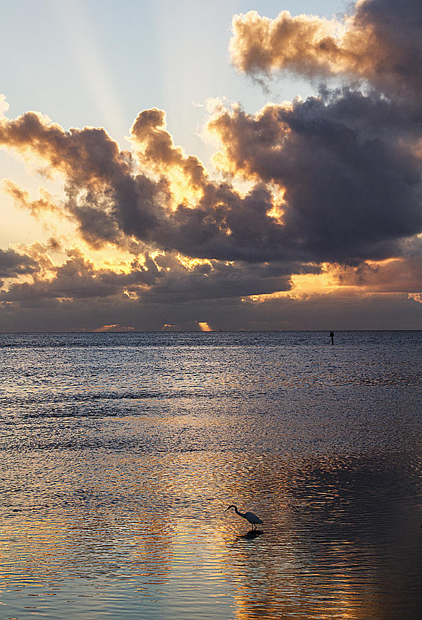 Key West Sunrise 17 Photograph by Bob Slitzan