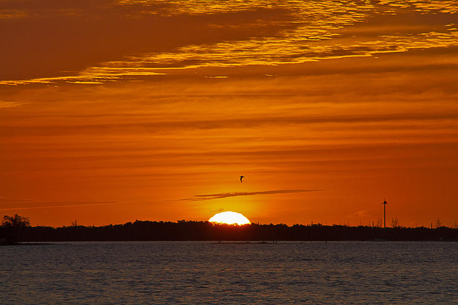 Key West Sunrise 31 Photograph by Bob Slitzan