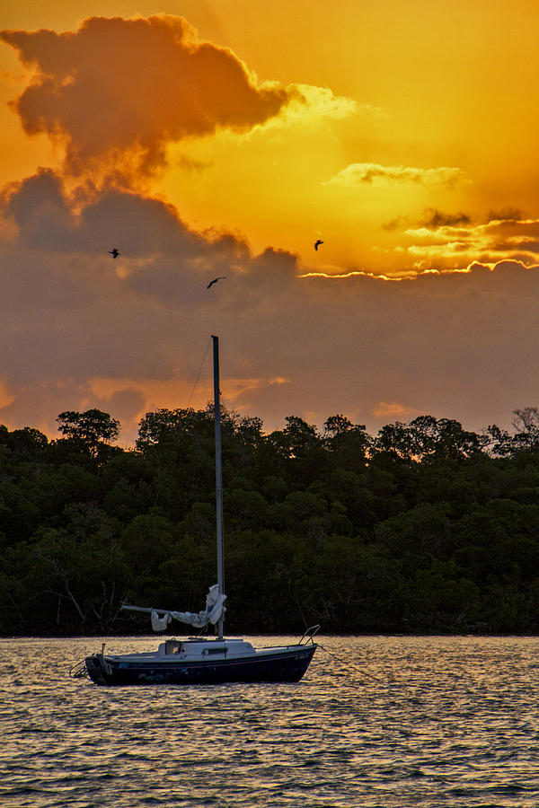 Key West Sunrise 33 Photograph by Bob Slitzan