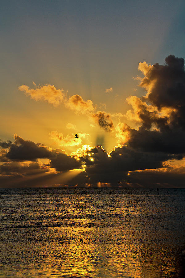 Key West Sunrise 39 Photograph by Bob Slitzan