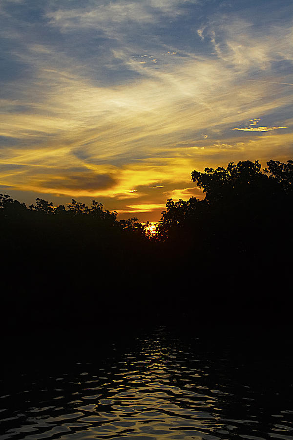 Key West Sunrise Over the Mangroves Photograph by Bob Slitzan