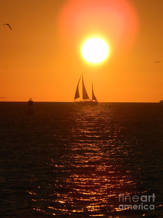 Key West Sunset Photograph by Neil Zimmerman