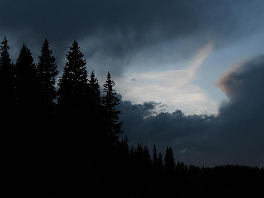 Keyhole Clouds in Forest Photograph by Sierra Dall - Fine Art America