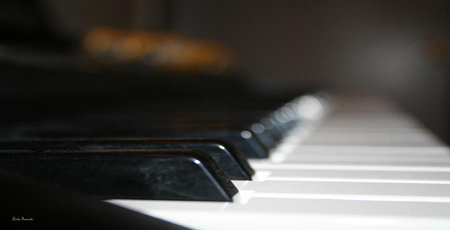 Musical Instrument Photograph - Keys close-up by Linda Sannuti