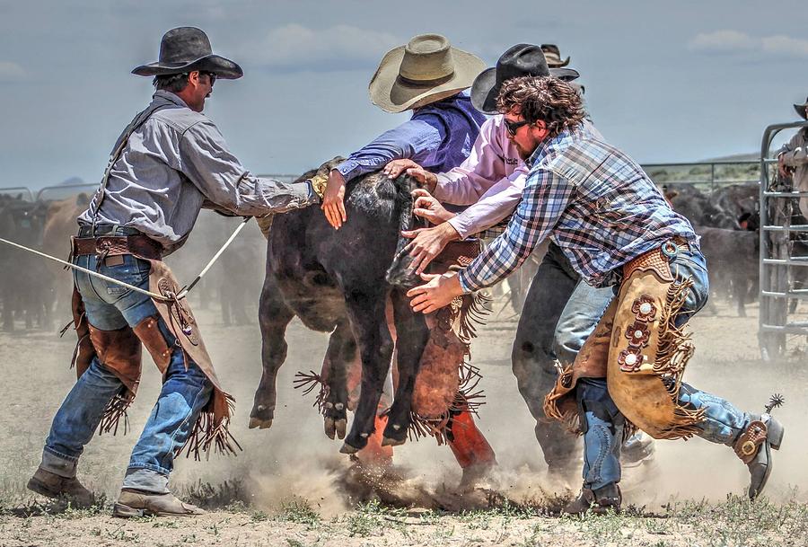 Branding Photograph - Keystone Kowboys by Vikki Correll