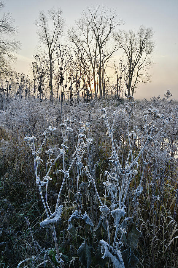 Keystone Landing Frosty Morning in Glacial Park Photograph by Ray Mathis