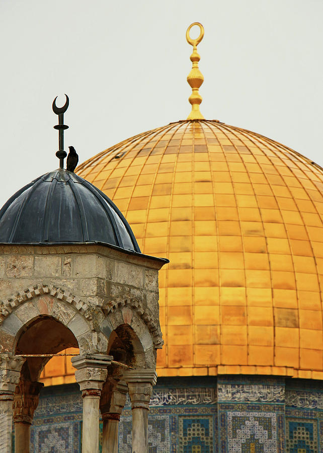 Khader Dome Photograph by Munir Alawi