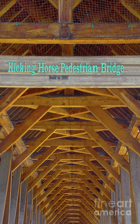 Kicking Horse Pedestrian Bridge Photograph by Louise Magno