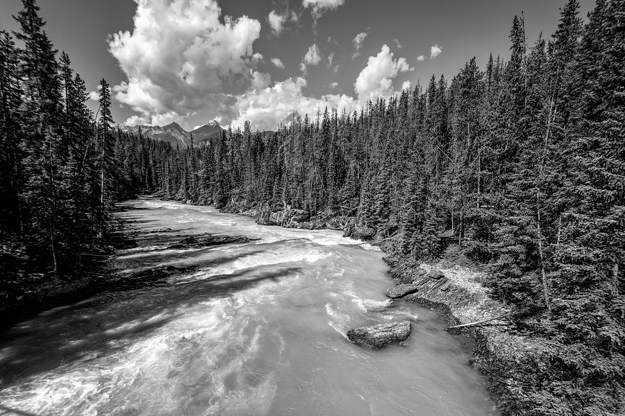 Kicking Horse River British Columbia Bw Photograph