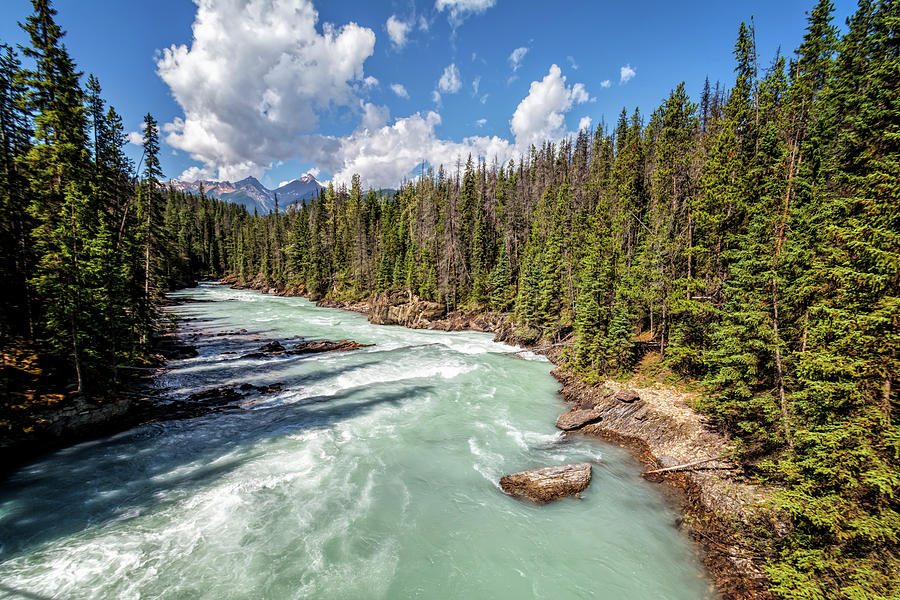Kicking Horse River British Columbia Photograph by Joan Carroll
