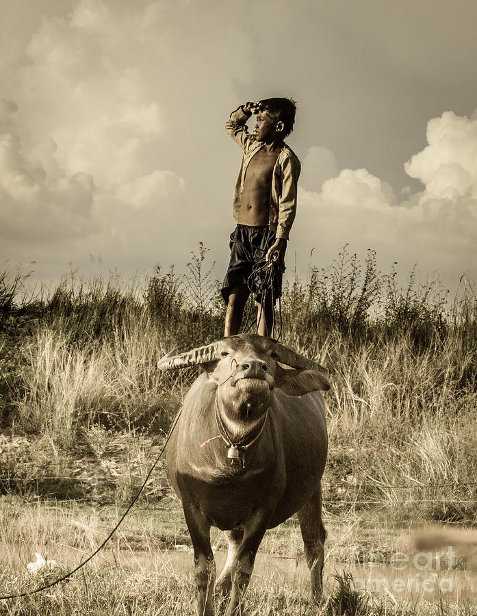 Kid and Cow Photograph by Arik S Mintorogo