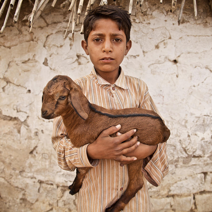 kid with goat by Lucas Dragone kid with goat by Lucas Dragone