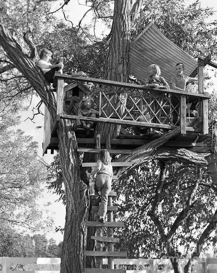 Kids Playing In Tree House, C.1960s Photograph by D. Corson/ClassicStock
