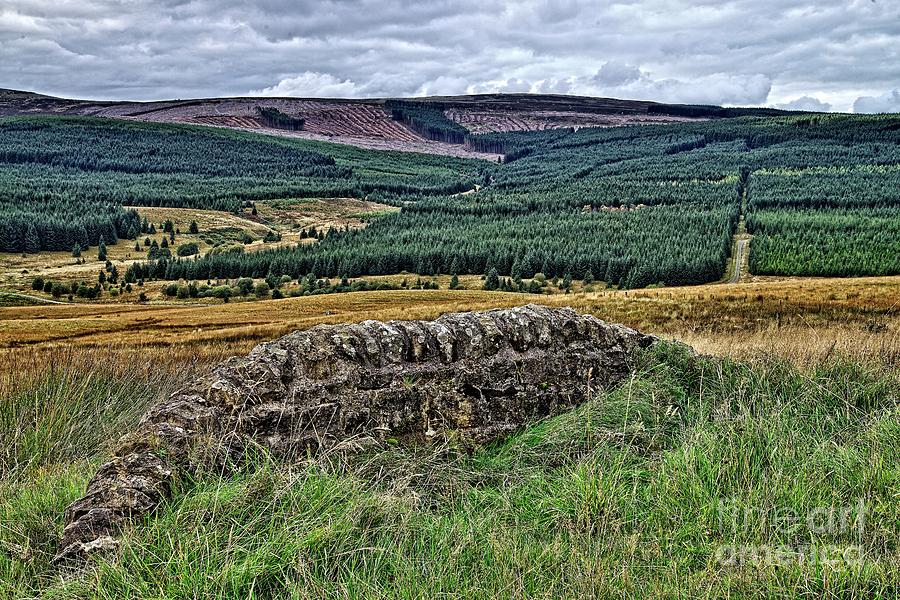 Kielder Forest Northumberland Photograph by Martyn Arnold