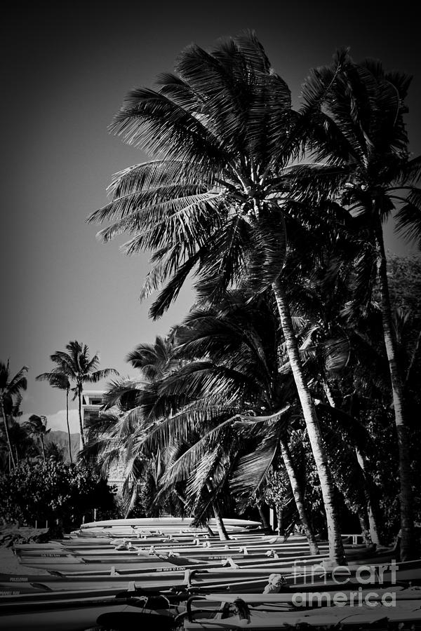 Kihei Sugar Beach Maui Hawaii Photograph by Sharon Mau