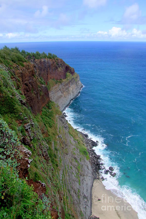 Kilauea Cliffs Kauai Photograph by Mary Deal
