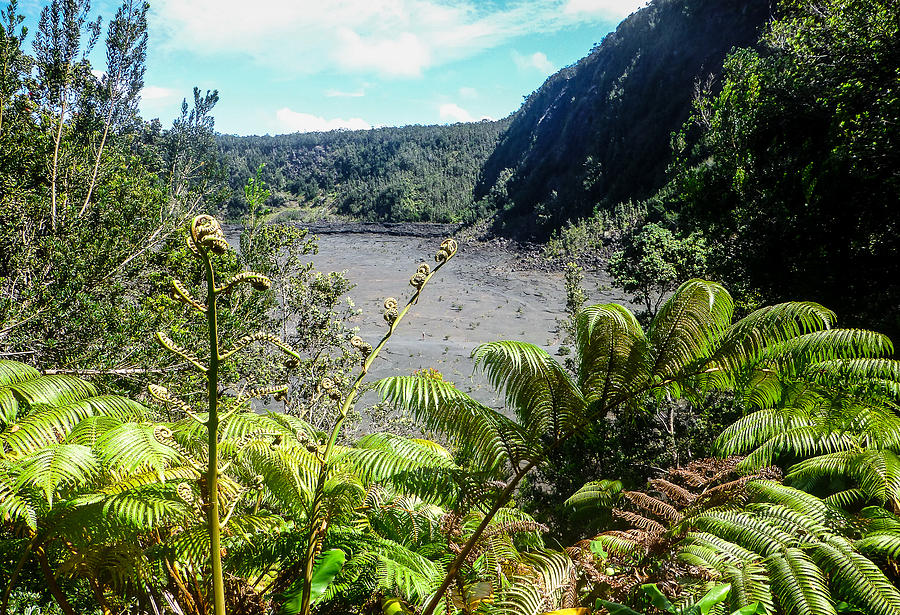 Kilauea Iki View Photograph by Pamela Newcomb