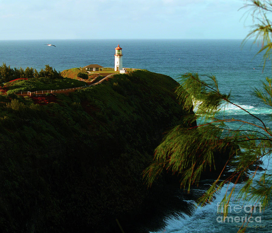 Kilauea Lighthouse 1 Photograph by Patricia Griffin Brett