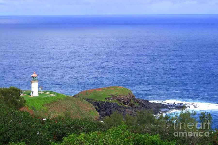 Kilauea Lighthouse Photograph by Mary Deal