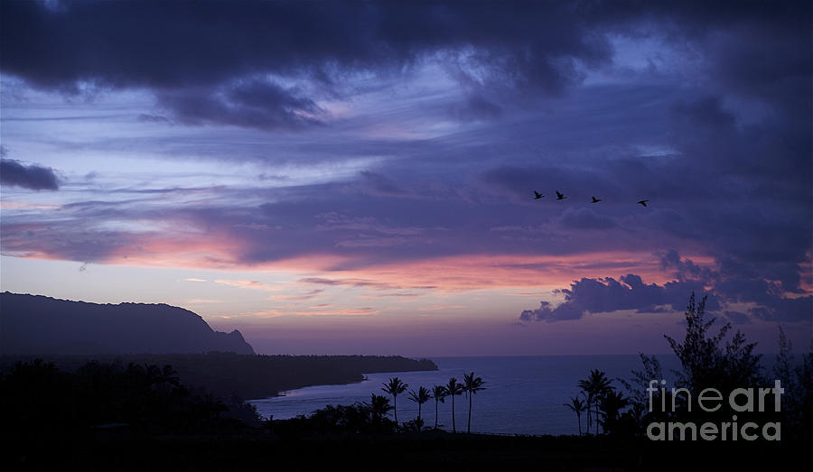 Kilauea Sunset Photograph by Kicka Witte - Printscapes