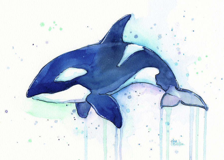 Killer Whale Painting - Kiler Whale Watercolor Orca  by Olga Shvartsur