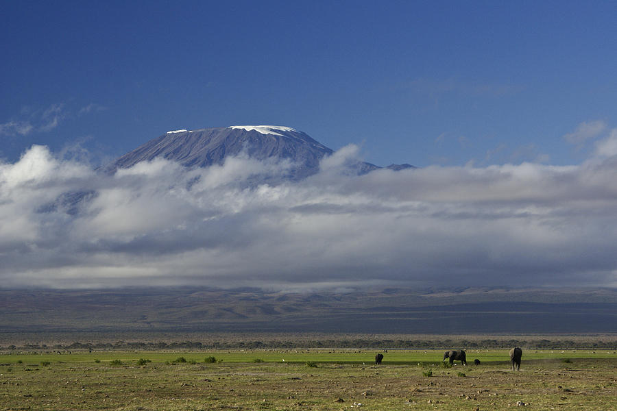 Kilimanjaro with Elephants Photograph by Michele Burgess