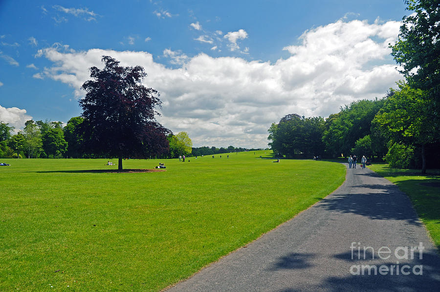 Kilkenny Castle Grounds Photograph by Cindy Murphy - NightVisions 