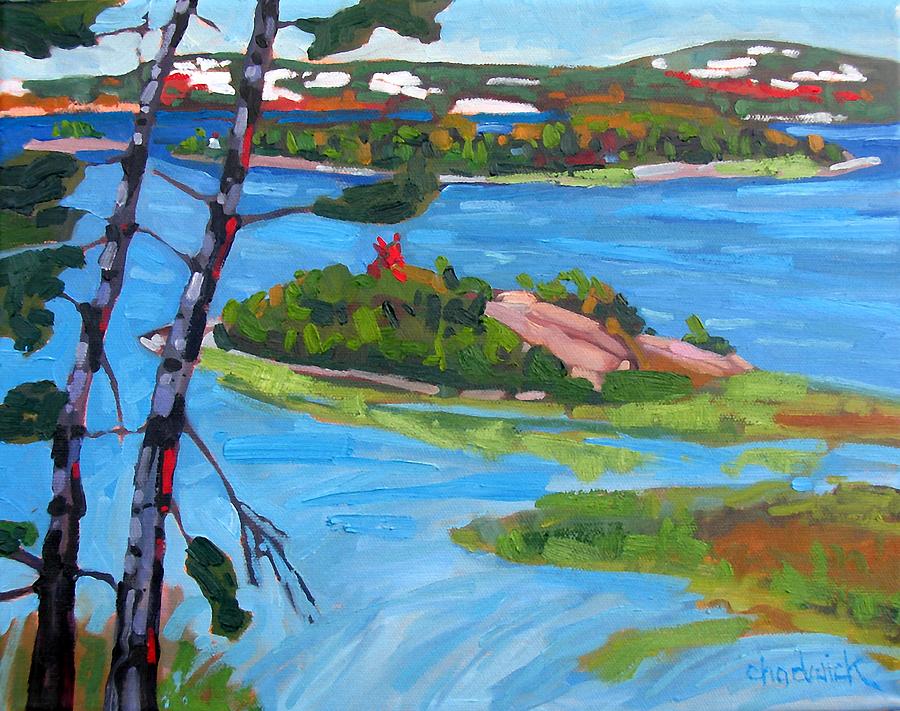 Killarney Bay White Pines Painting by Phil Chadwick
